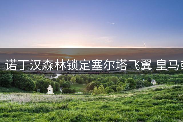 诺丁汉森林锁定塞尔塔飞翼 皇马或获半数转会收益