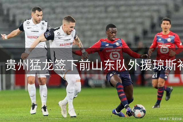 贵州猛龙签下前山东队外援琼斯补强内线
